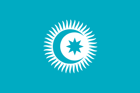 Организация тюркских государств