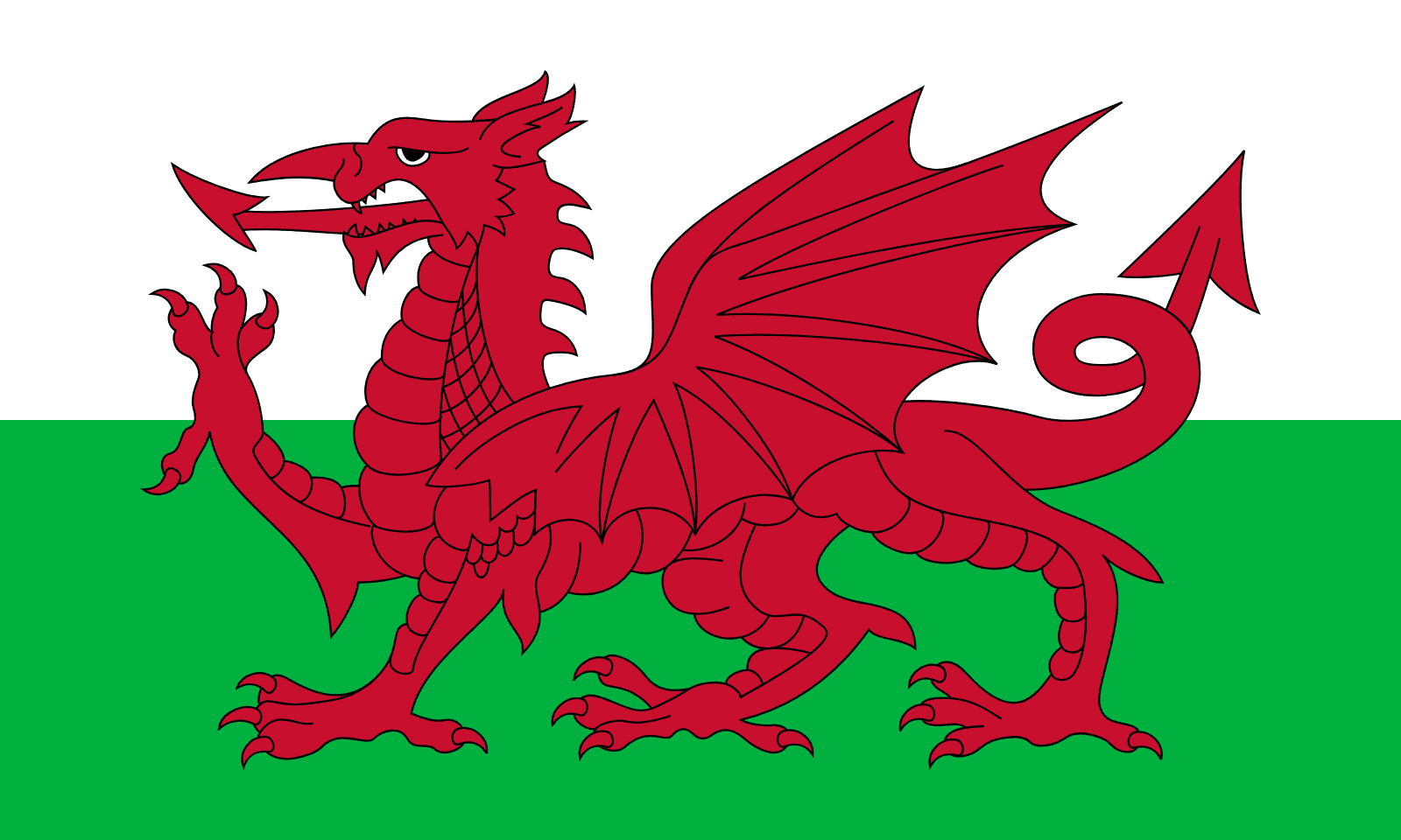 Уэльс флаг. Красный дракон на флаге Уэльса. Флаг Уэльса. Wales Страна флаг. Флаг Валес.